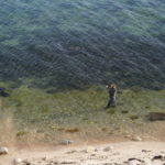 Watangeln Ostsee Schutzzonen Ostsee