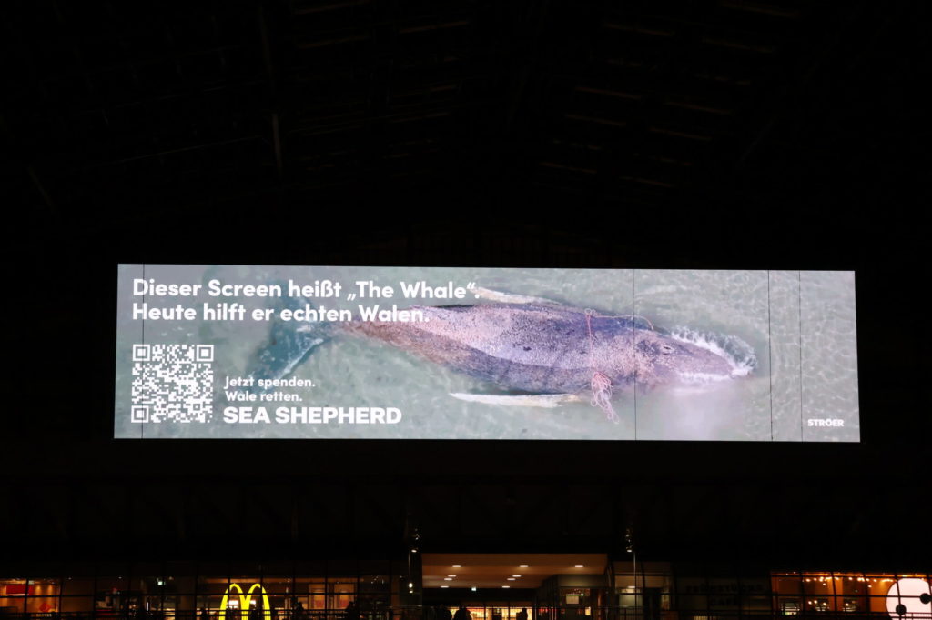 Screen „The Whale“ am Hamburger Hauptbahnhof machte auf den gestrandeten Buckelwal in der Ostsee aufmerksam