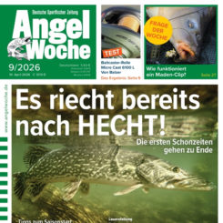 AngelWoche