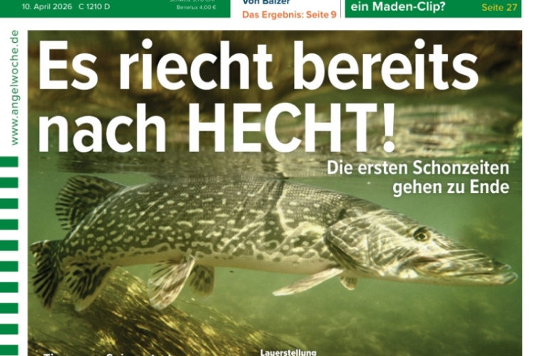 Cover der AngelWoche 09/2026: Es riecht bereits nach Hecht!
