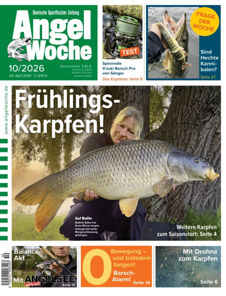 Cover der AngelWoche 10/2026: Frühlingskarpfen!