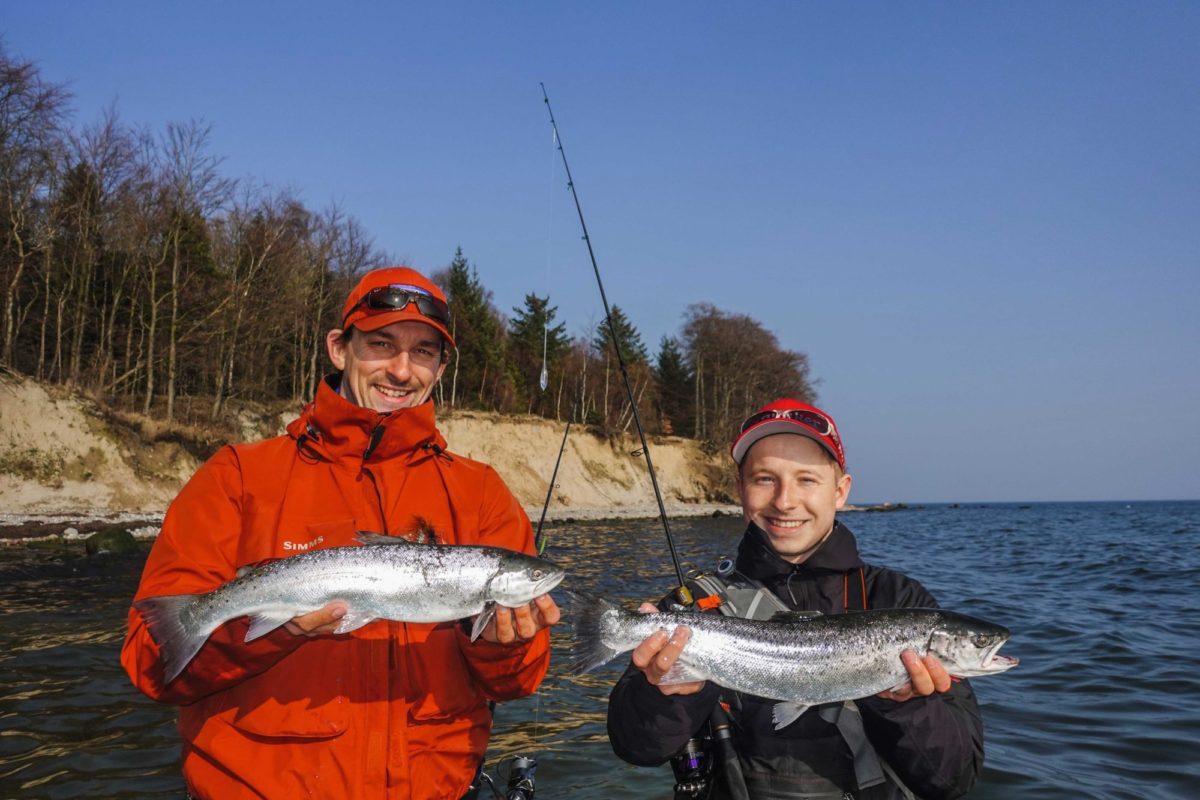 Meerforellen Vorzeiger an der Küste