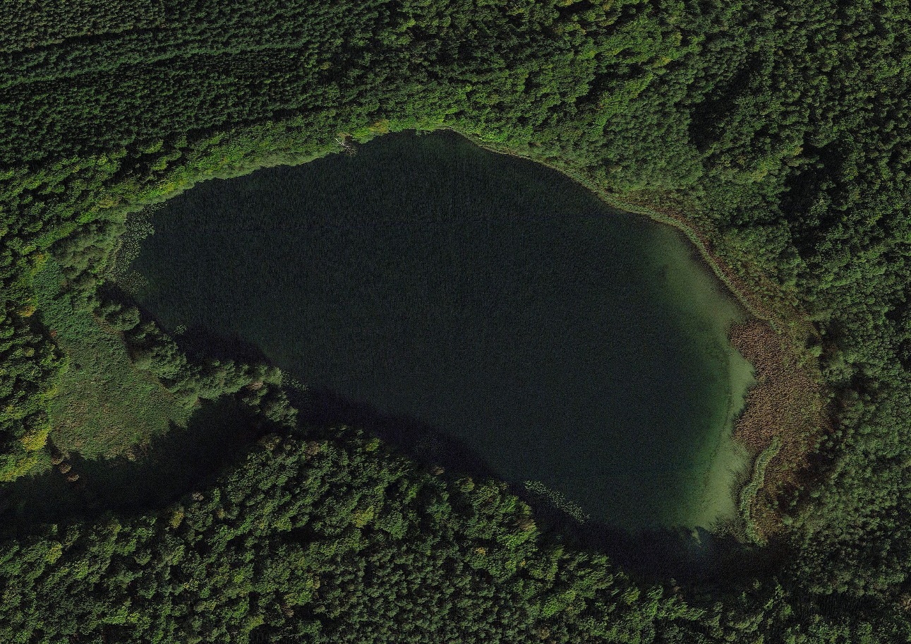 Schleiensee