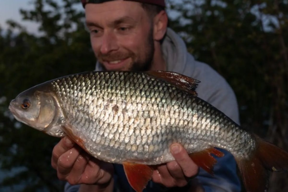 Neuer Rotaugen-Rekord aus den Niederlanden.
