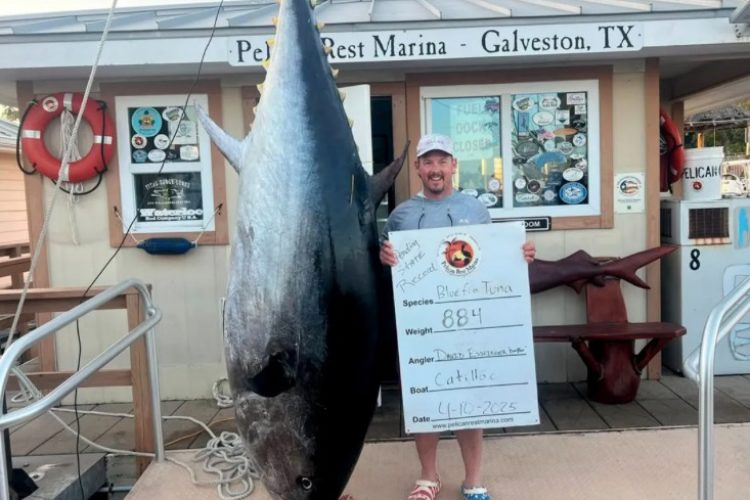 Riesen-Thunfisch, Texas