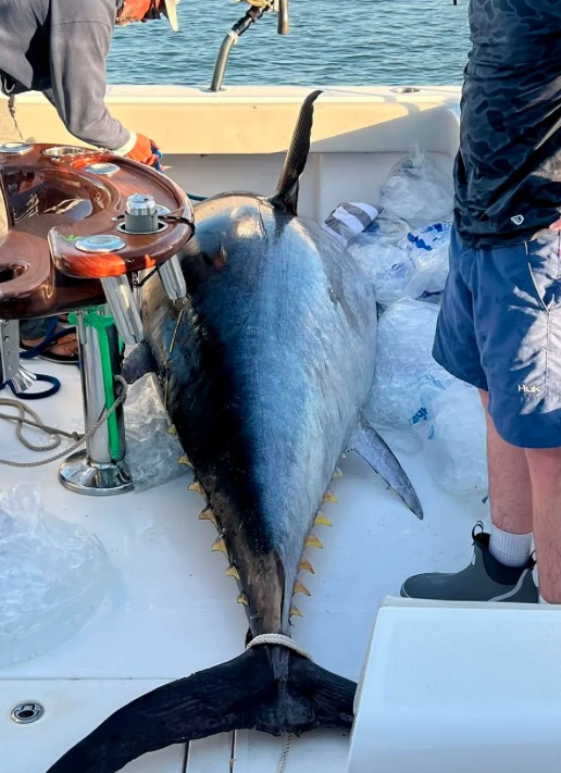 Bei der Landung des Thun halfen alle mit.