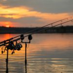 Sunset Rod Carp