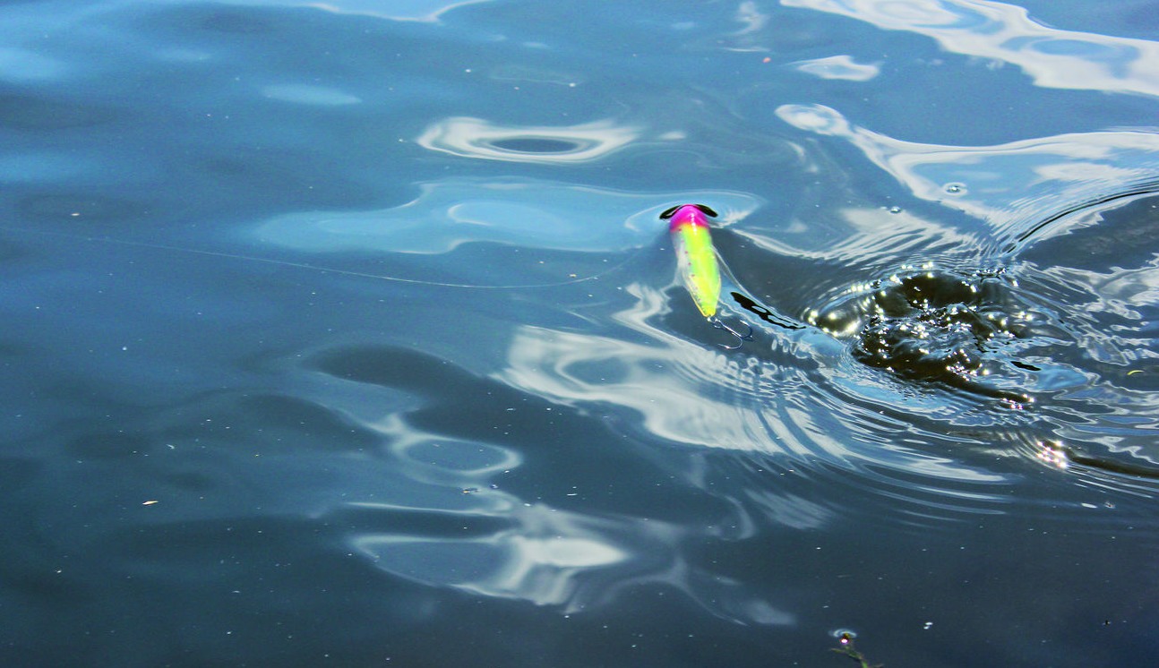 Stickbait Laufverhalten