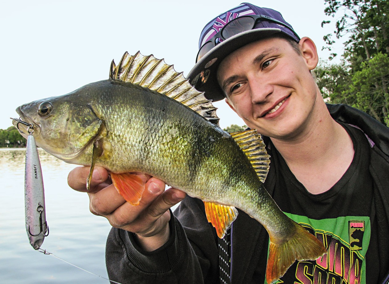 Stickbait Barschangeln Sommer