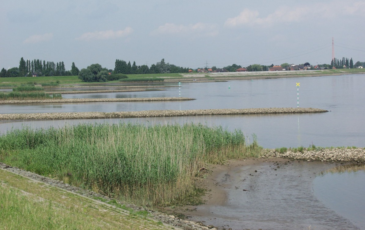 Buhnen
