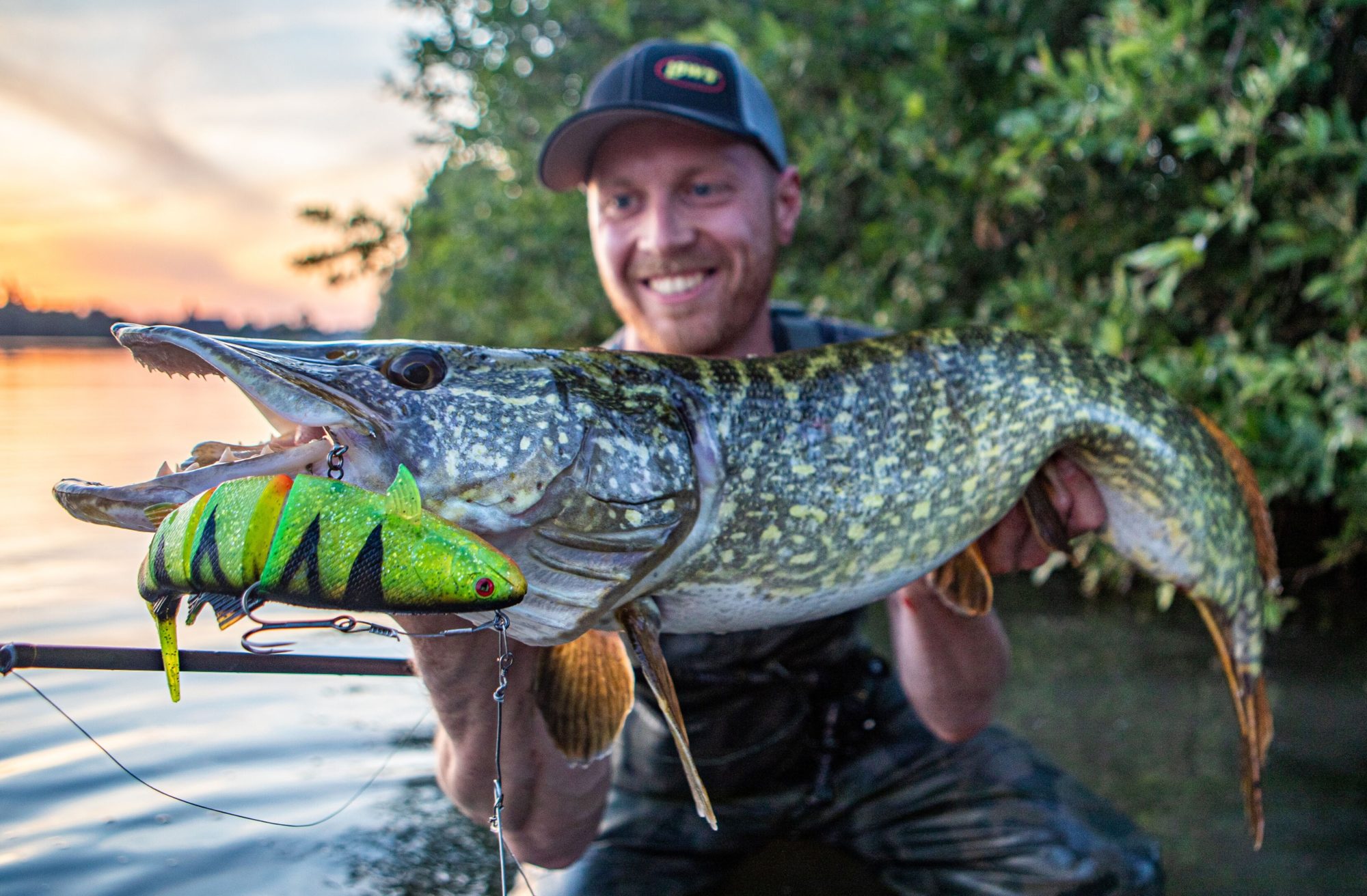 Swimbait Big Bait