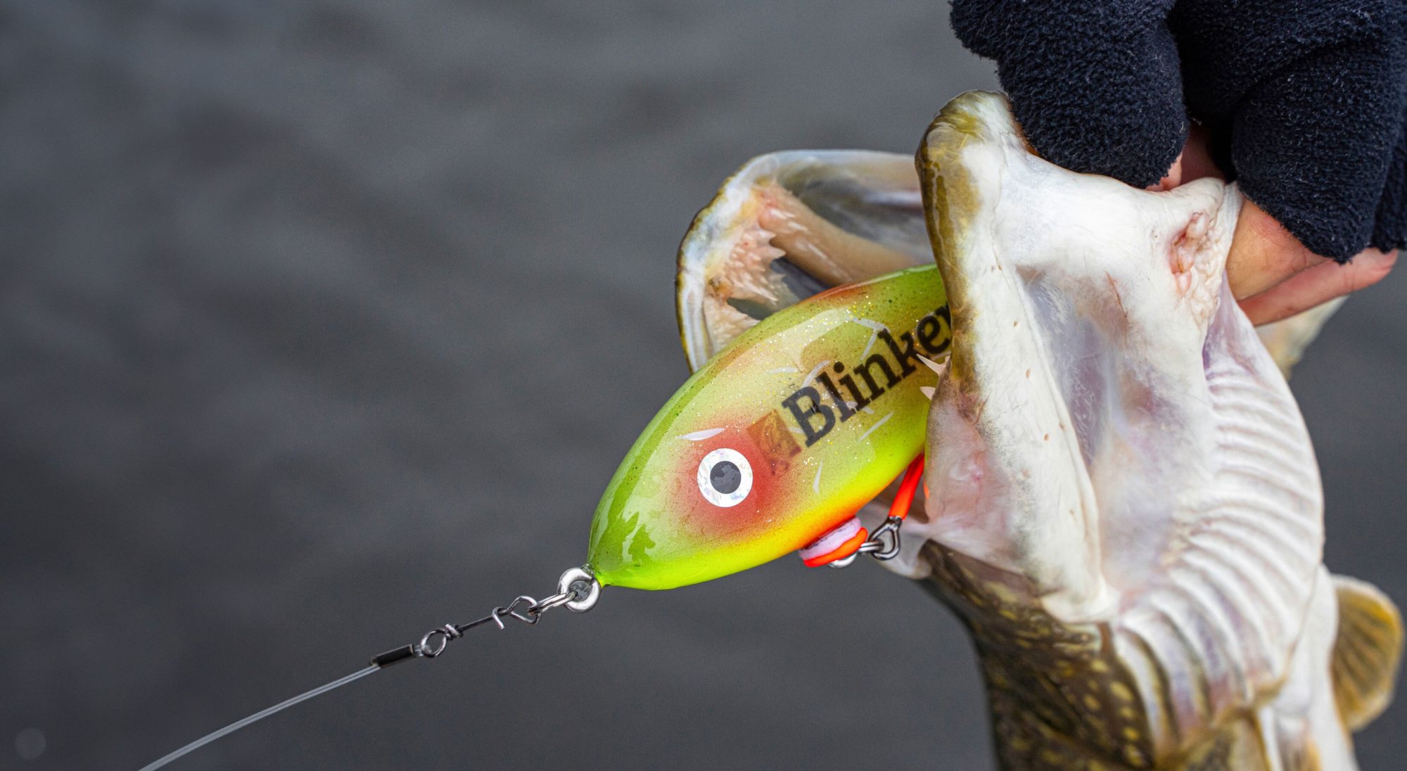Jerkbait Spinnrute Hecht