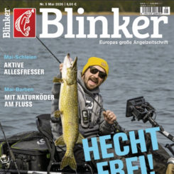 BLINKER