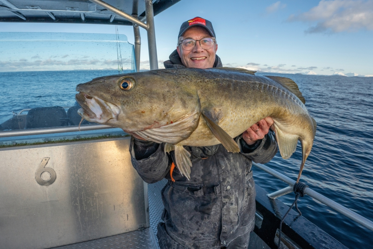 Norwegenangler mit großem Dorsch