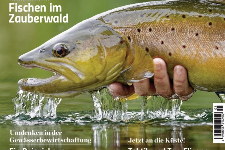Heft-Cover der FliegenFischen 3/2026: Die Maifliegen sind da!
