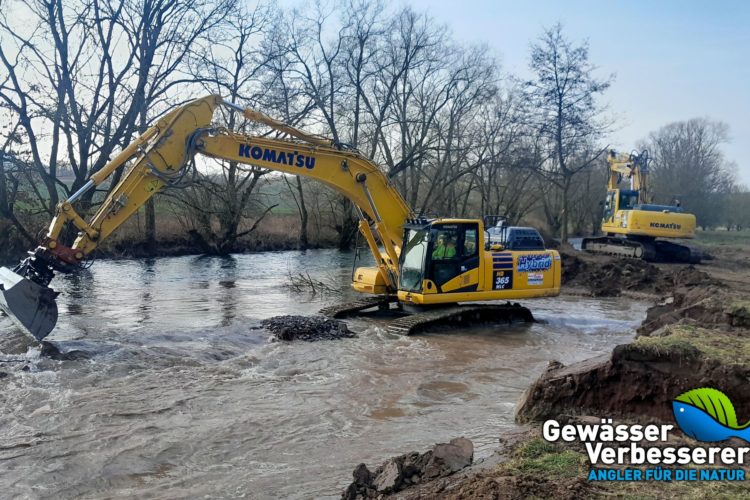 Gewässer Verbesserer des Jahres 2025