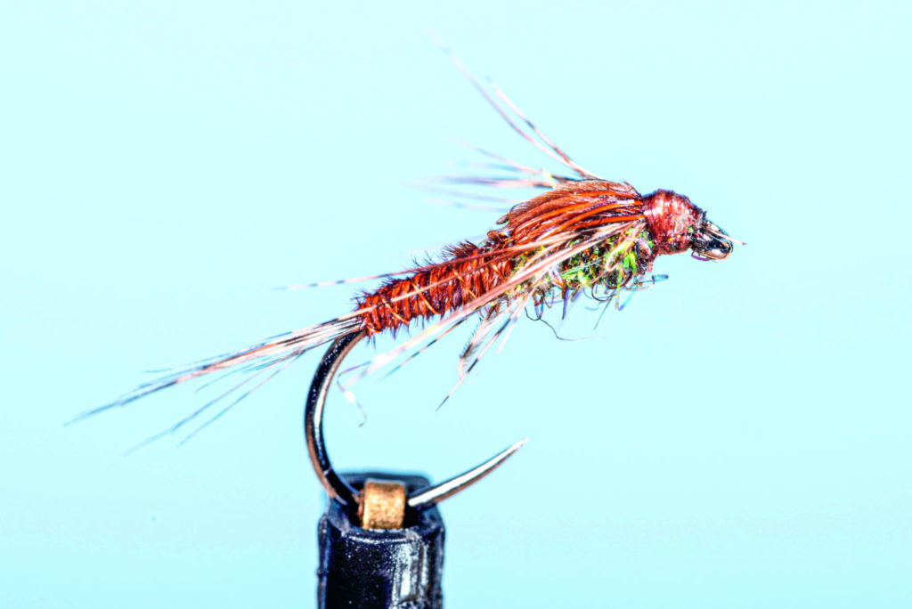 Pheasant Tail Nymphe