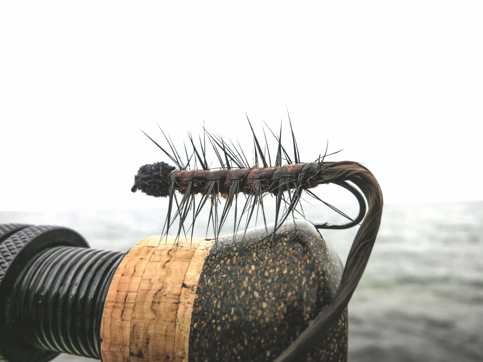 Seeringelwurm Fliege Meerforellen