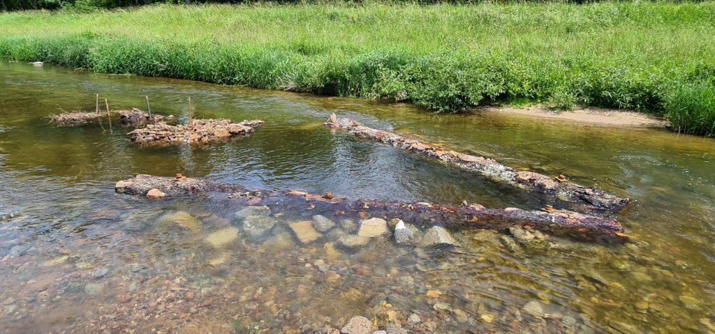 Die Wirkung gezielter gewässerökologischer Maßnahmen zeigt sich unmittelbar im Gewässerbild