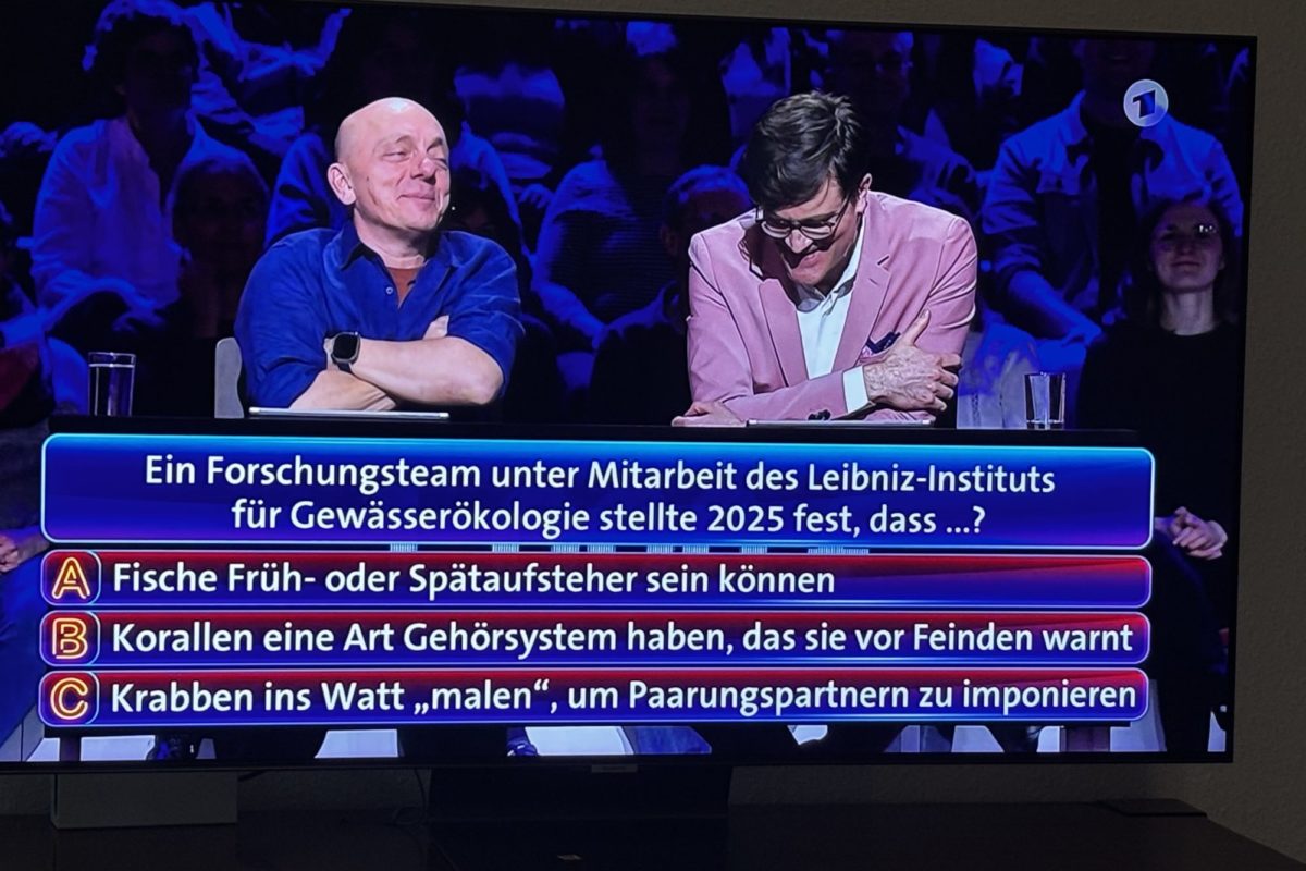 Sendung wer weiß denn sowas