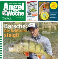 AngelWoche