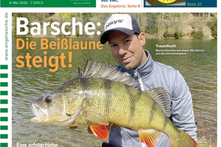 Cover der AngelWoche 11/2026: Barsche in Beißlaune!