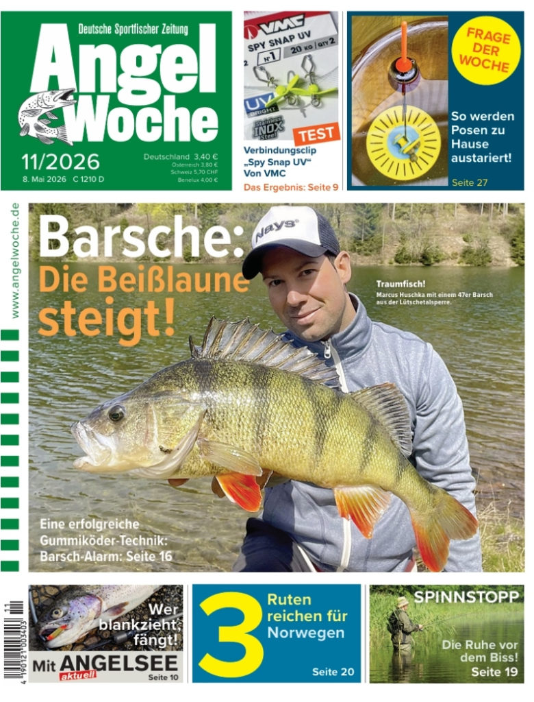 Cover der AngelWoche 11/2026: Barsche in Beißlaune!