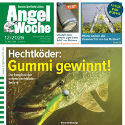 AngelWoche