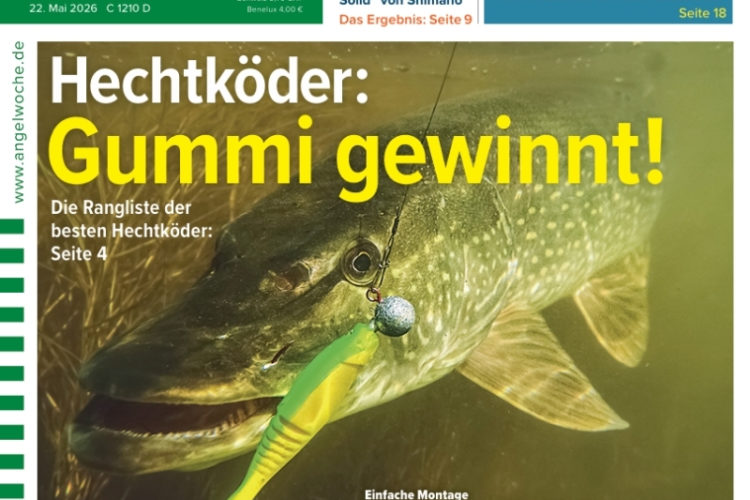 Cover der AngelWoche 12/2026: Hechtköder: Gummi gewinnt!