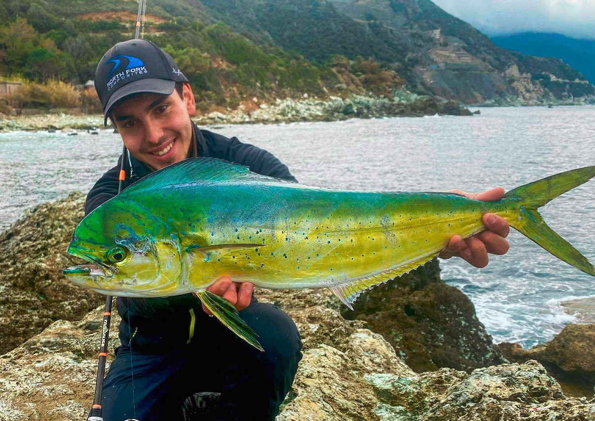 Mahi Mahi