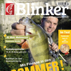 BLINKER
