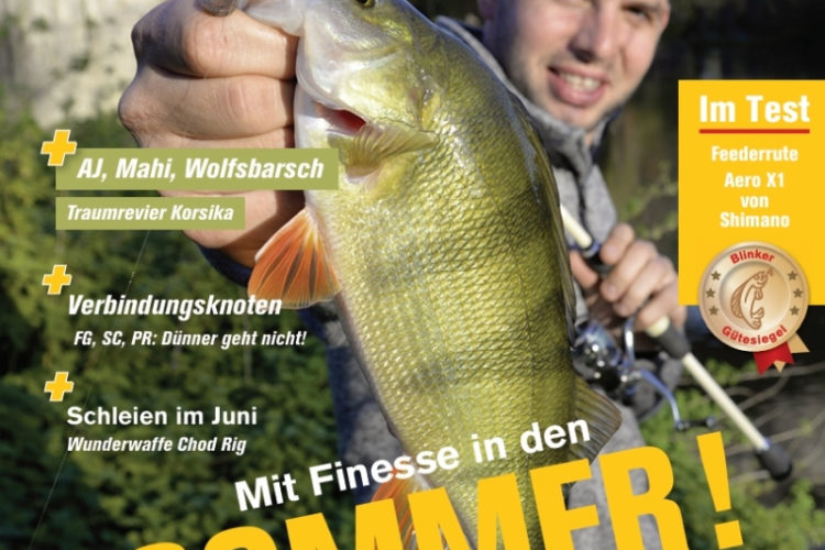 Blinker 06/2026: Mit Finesse in den Sommer!!