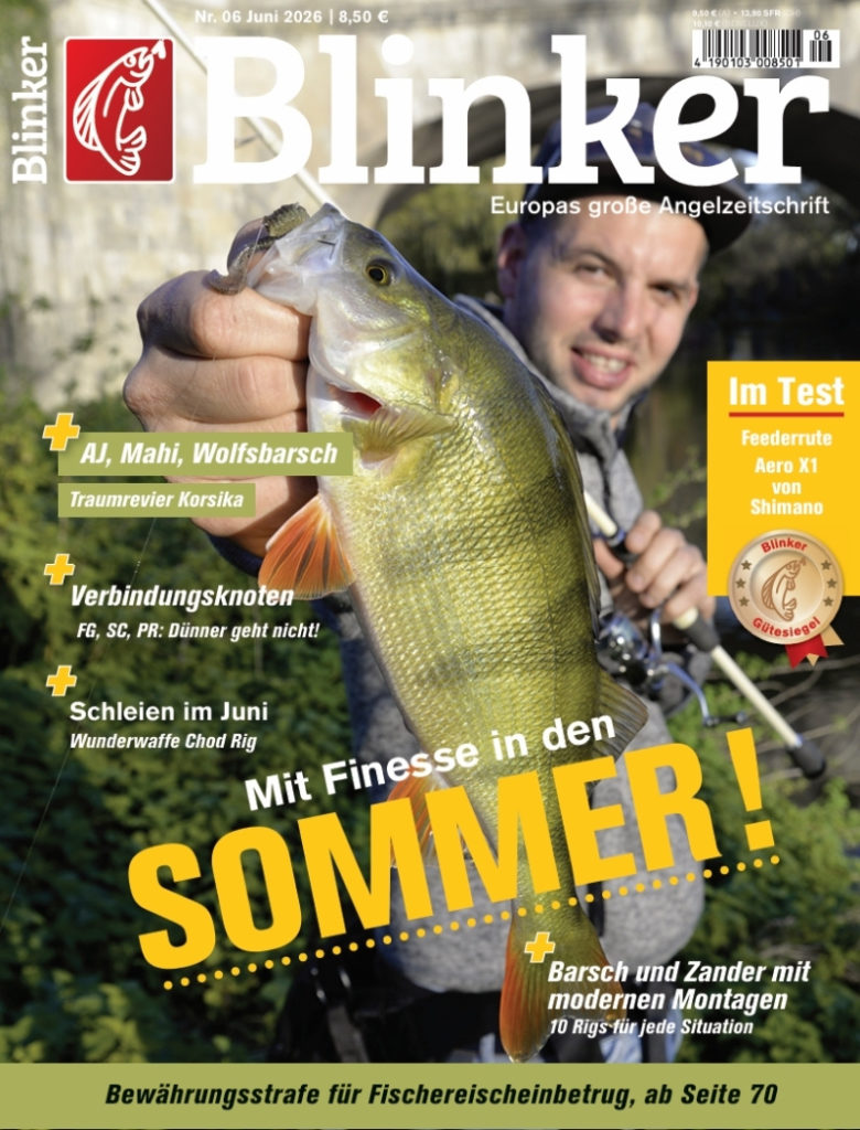 Blinker 06/2026: Mit Finesse in den Sommer!!