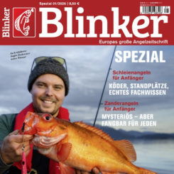 BLINKER