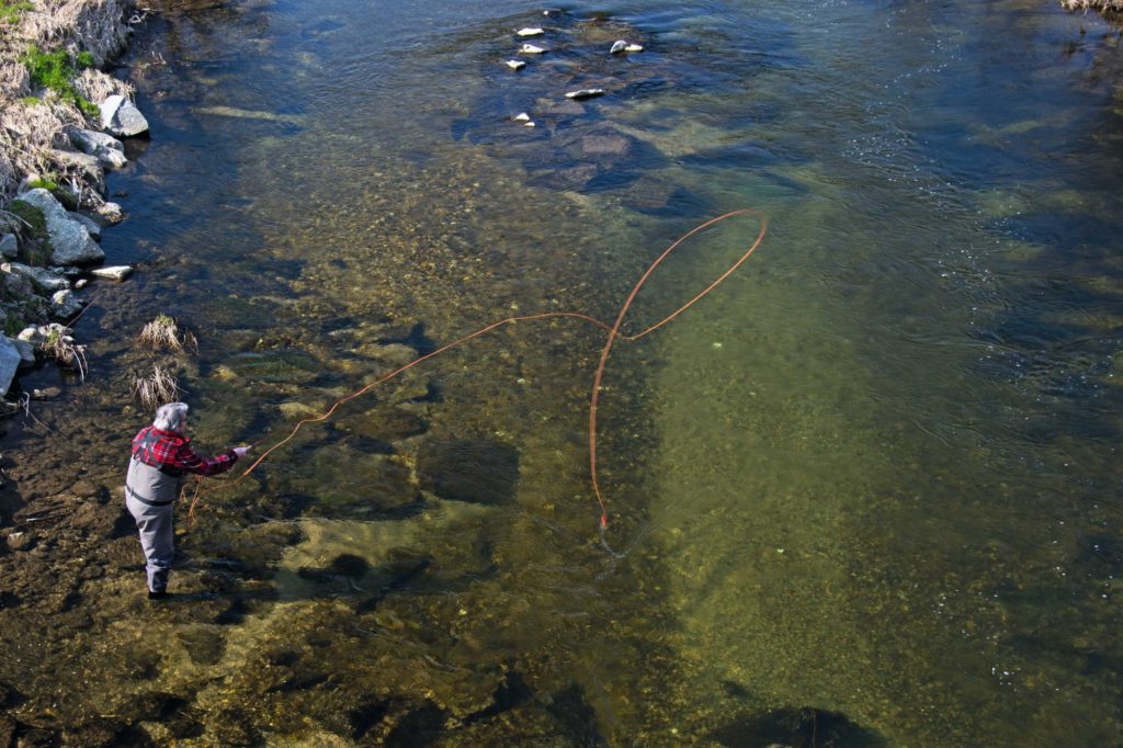 Rollwurf - Fliegenfischen mit Bissanzeiger