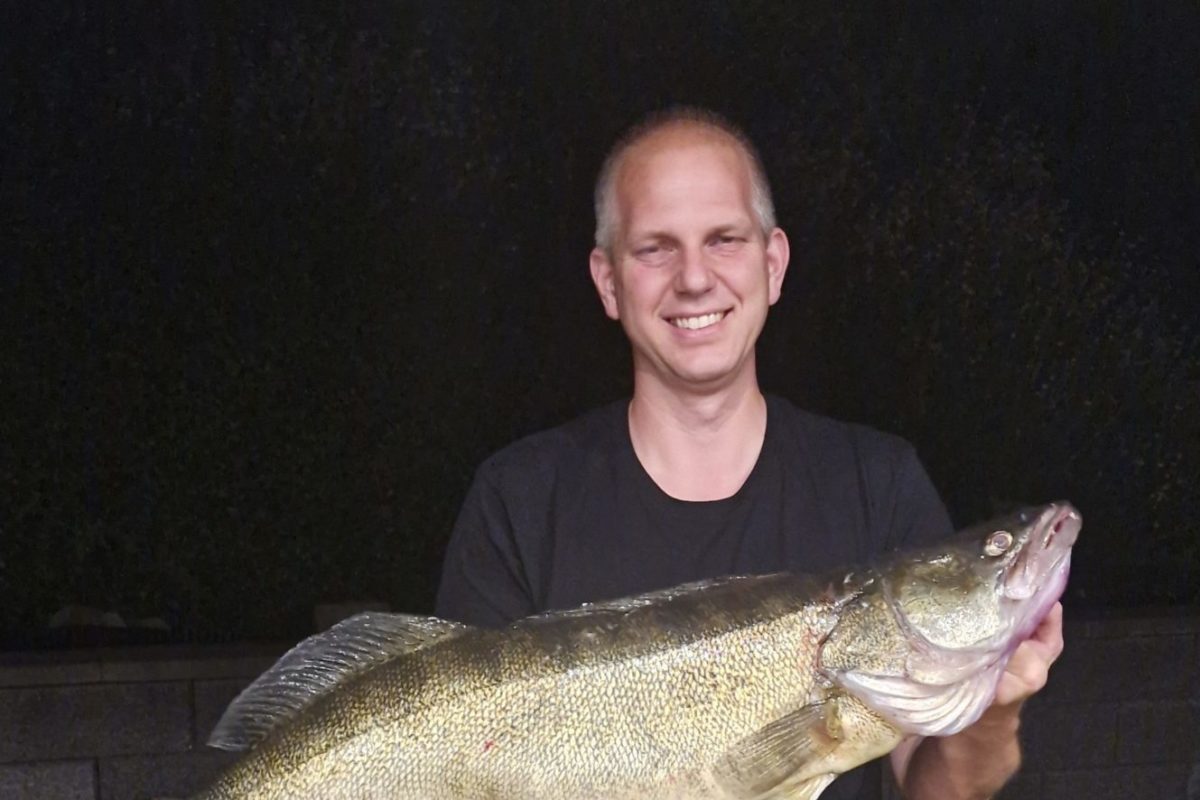 96er Zander aus dem Biggesee