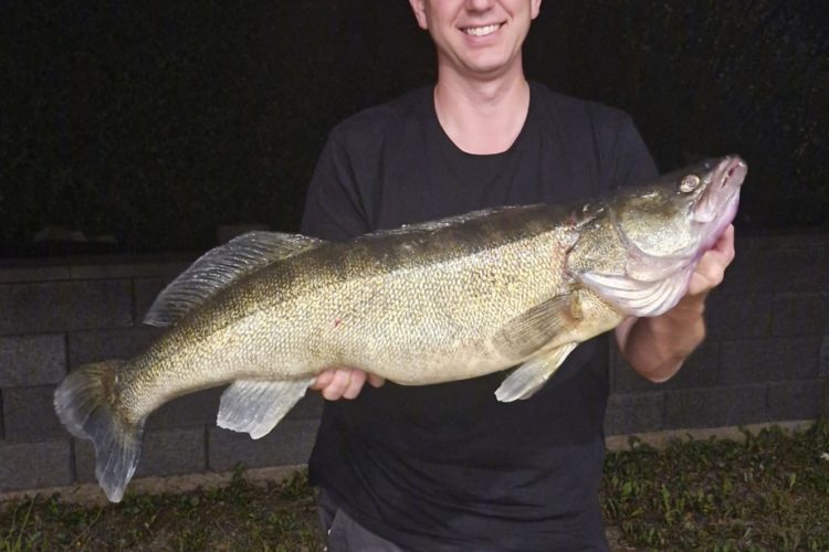 96er Zander aus dem Biggesee