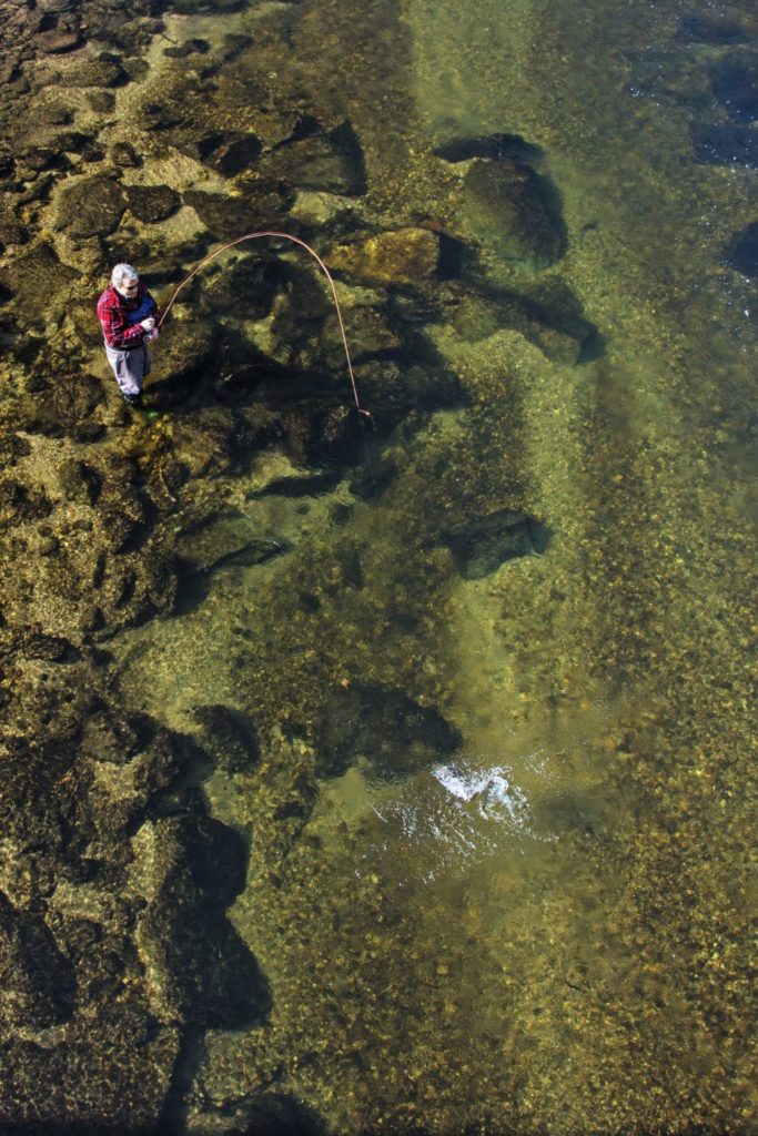 Der kleine Bissanzeiger am Ende der Fliegenschnur zeigte, dass ein Fisch die Nymphe am langen Vorfach nahm…