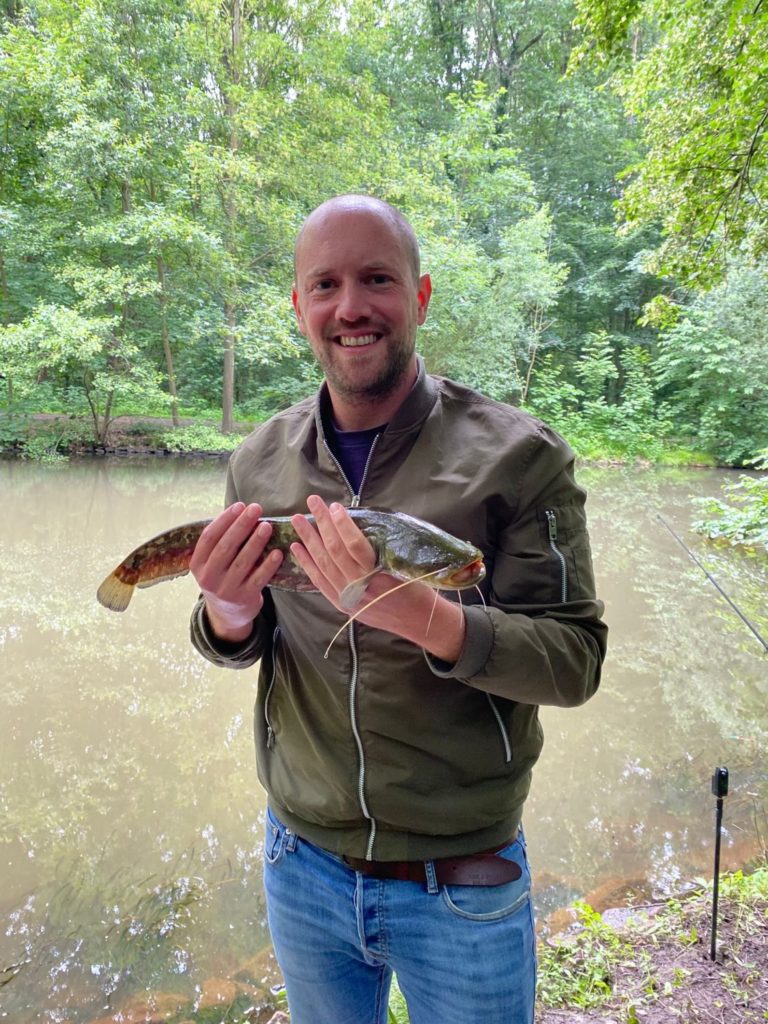 Wels 52 cm