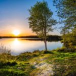 Angeln im Sommer: Sonnenaufgang am Morgen