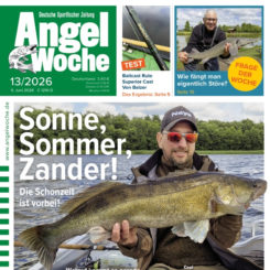 AngelWoche