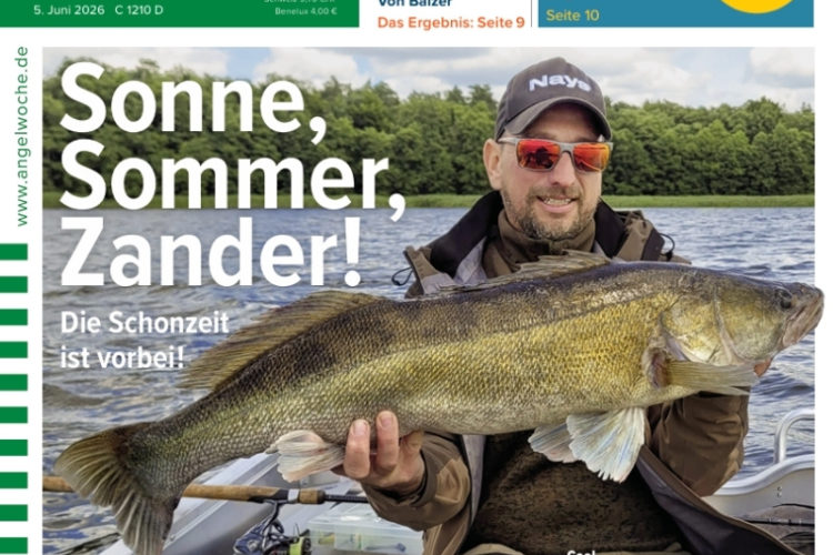 Cover der AngelWoche 13/2026: Sonne, Sommer, Zander!