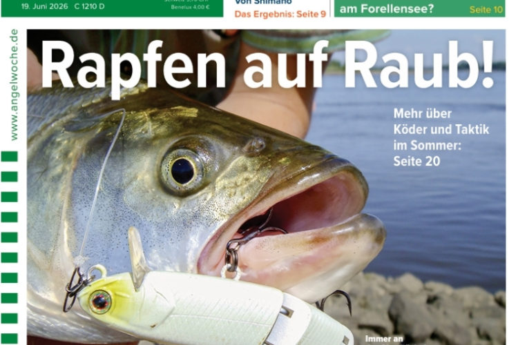 Cover der AngelWoche 14/2026: Rapfen auf Raub!