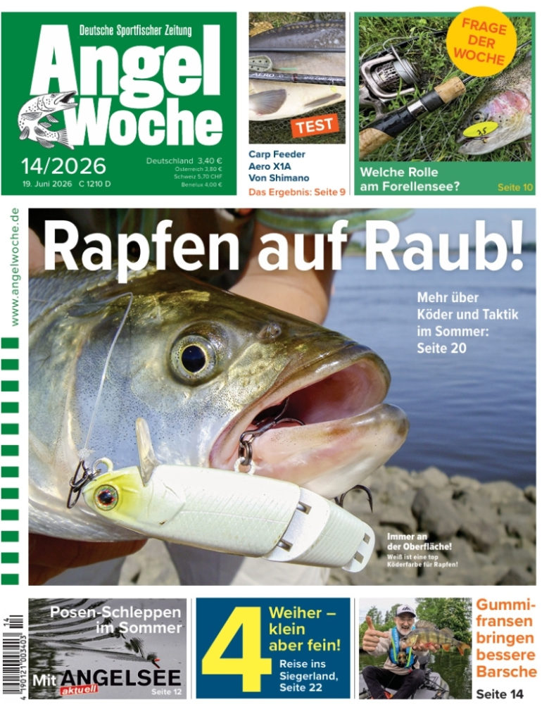 Cover der AngelWoche 14/2026: Rapfen auf Raub!