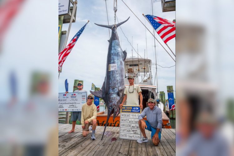 Marlin Big Rock Blue Marlin Tournament