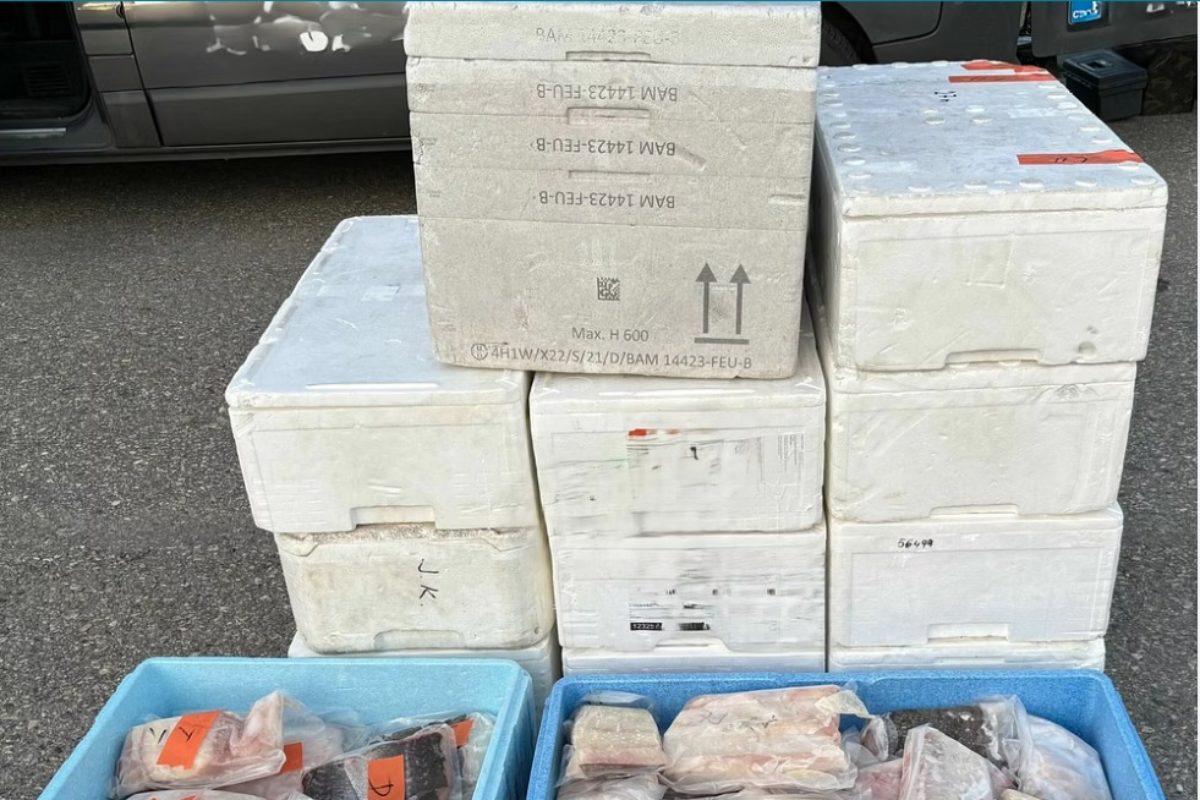 Illegale Fischmenge, Norwegen