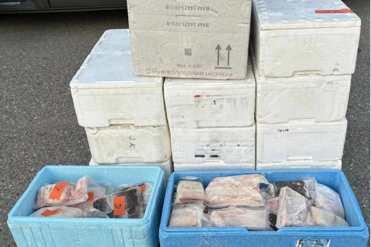Illegale Fischmenge, Norwegen
