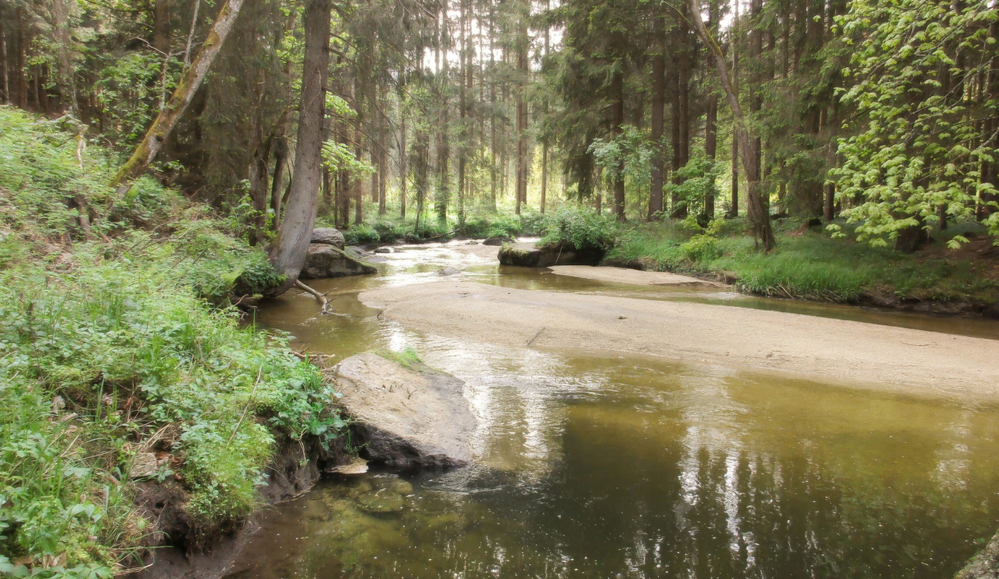 Natur Fluss Kleiner Kamp