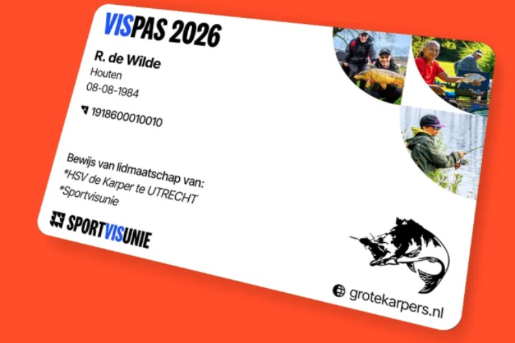 Vispas aus 2026