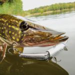 Hecht Wobbler